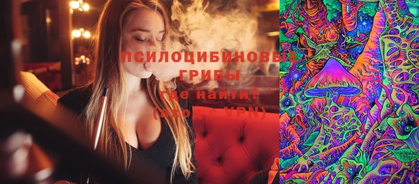 дурь Алзамай