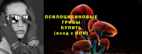 дурь Алзамай
