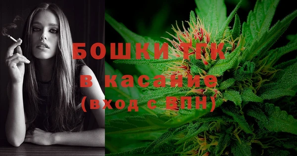 сатива Алексин