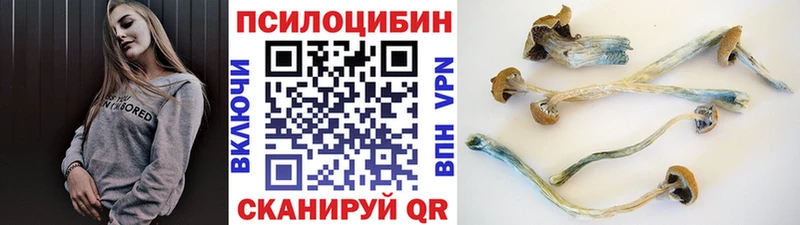Галлюциногенные грибы Psilocybe  Уварово 